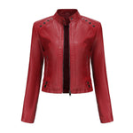Cropped Studded Faux Leather Jacket for women, view 7